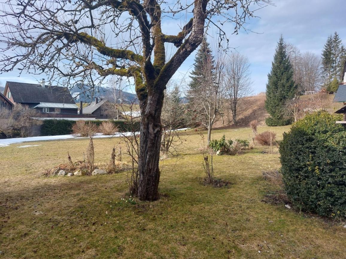 Ferienwohnung Salzafeld Bad Mitterndorf Buitenkant foto